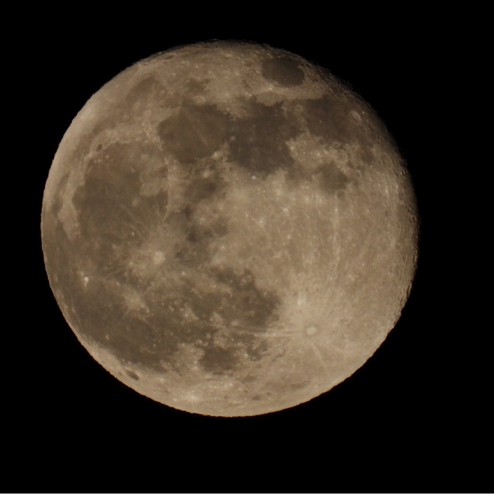 Photographer’s Guide to the Nikon Coolpix P1000 - Picture 10 of 13